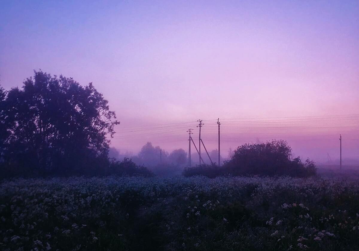 你应该现在购买史诗骑术，还是等到TBC前夕？